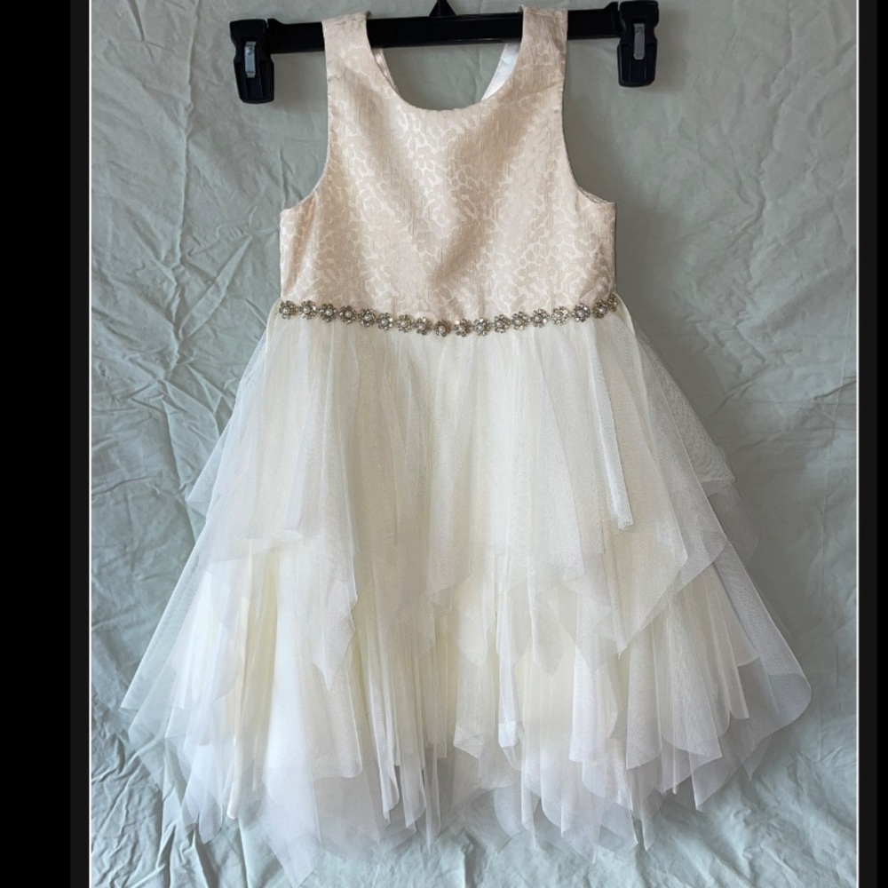 Girls beautiful dress